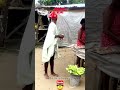 FUNNY VIDEO 2025ЁЯШЬЁЯдгЁЯдгЁЯдгЁЯдгЁЯдгЁЯдгЁЯдгЁЯдгЁЯдгЁЯдгЁЯдгЁЯдгЁЯдг Viralpost Foryou FypуВ Fyp Fyp Funnyreels Viral FUNNY VIDEO 2025ЁЯШЬЁЯдгЁЯдгЁЯдгЁЯдгЁЯдгЁЯдгЁЯдгЁЯдгЁЯдгЁЯдгЁЯдгЁЯдгЁЯдг Viralpost Foryou FypуВ Fyp Fyp Funnyreels Viral