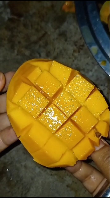 Mango 🥭 ka season ja raha hai 🥲#fruit #mango #shorts #viralvideo # ...