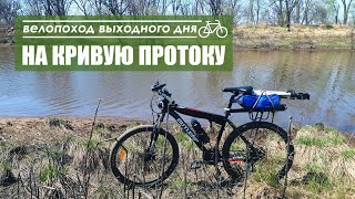 На Кривую протоку. Велопоход выходного дня.