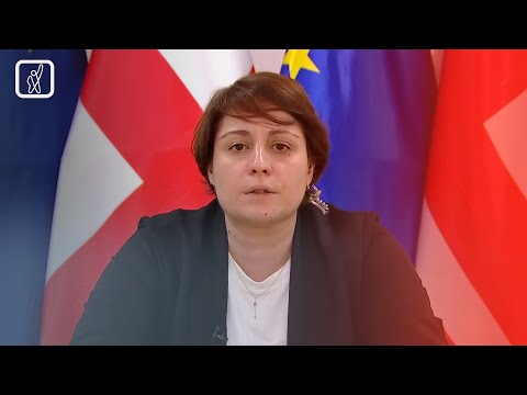 ელენე ხოშტარია „ქართული ქარტიის“ შესახებ | ფორმულა 5-ზე
