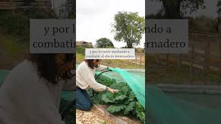 Claves de la Huerta Sin Labrar | Agricultura Regenerativa Familiar