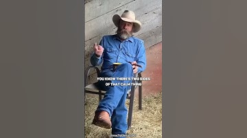 Difference Between Knowledge and Wisdom