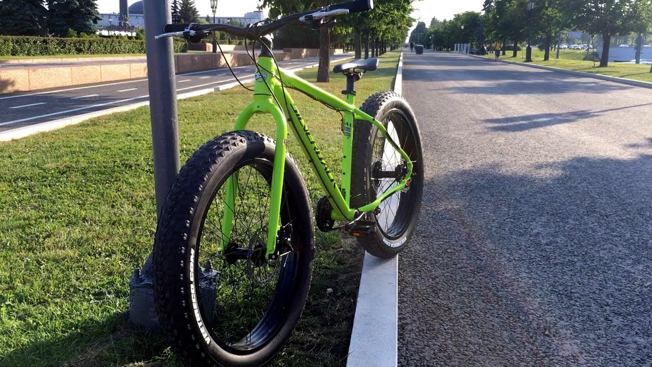 SILVERBACK STRIDE FATTY[QUICK REVIEW 