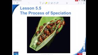 Lesson 5.5 The Process of Speciation