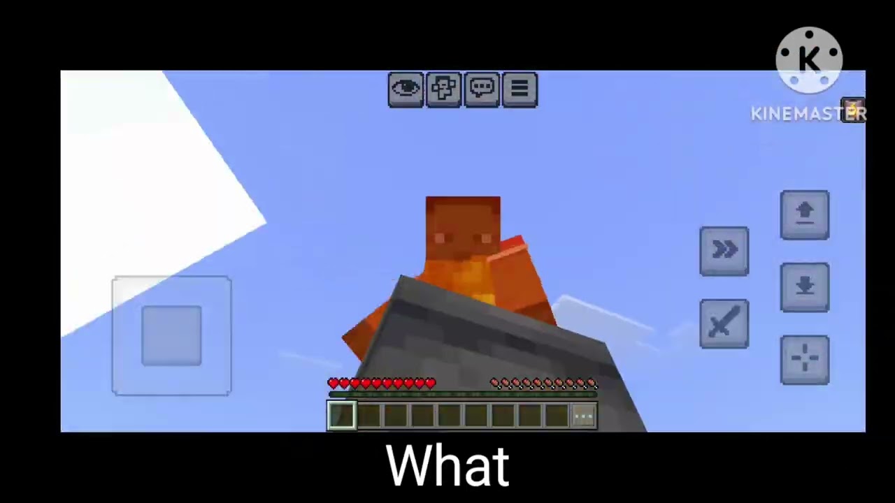Minecraft Wait What Meme Part 2