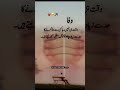 #wafa #shortvideo #love #youtubeshorts #duet #himusic #unfrezzmyaccount #hitech #cute #ebrahimraisi