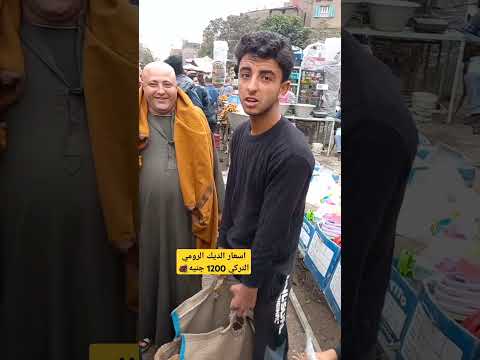 اسعار الديك الرومي التركي 1200 جنيه