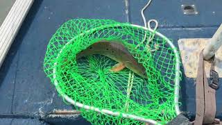 Right where i need to be, chawww bet! #fishing #sacalait #bassfishing #backwaterrods #acc
