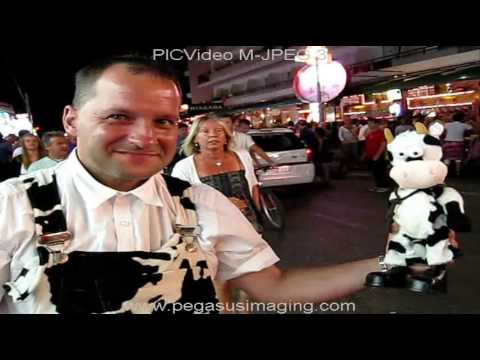 DIE BUNTE KUH -1-