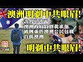 3.11 【澳洲明剃中共眼眉!】許智峯透露：澳洲政府特別批准他破例乘搭澳洲公民包機直抵澳洲，明剃中共眼眉!