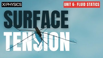 Surface Tension - Unit 6 Fluid Statics - Class 11 -#TP11 63