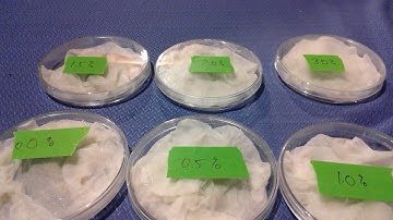 Salinization and LD-50 Lab: Setup