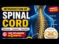 Introduction of Spinal Cord | Structure, Location & Functions Explained | HAP Lecture