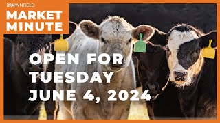 Cattle futures rise on Tuesday morning | Opening Market Minute