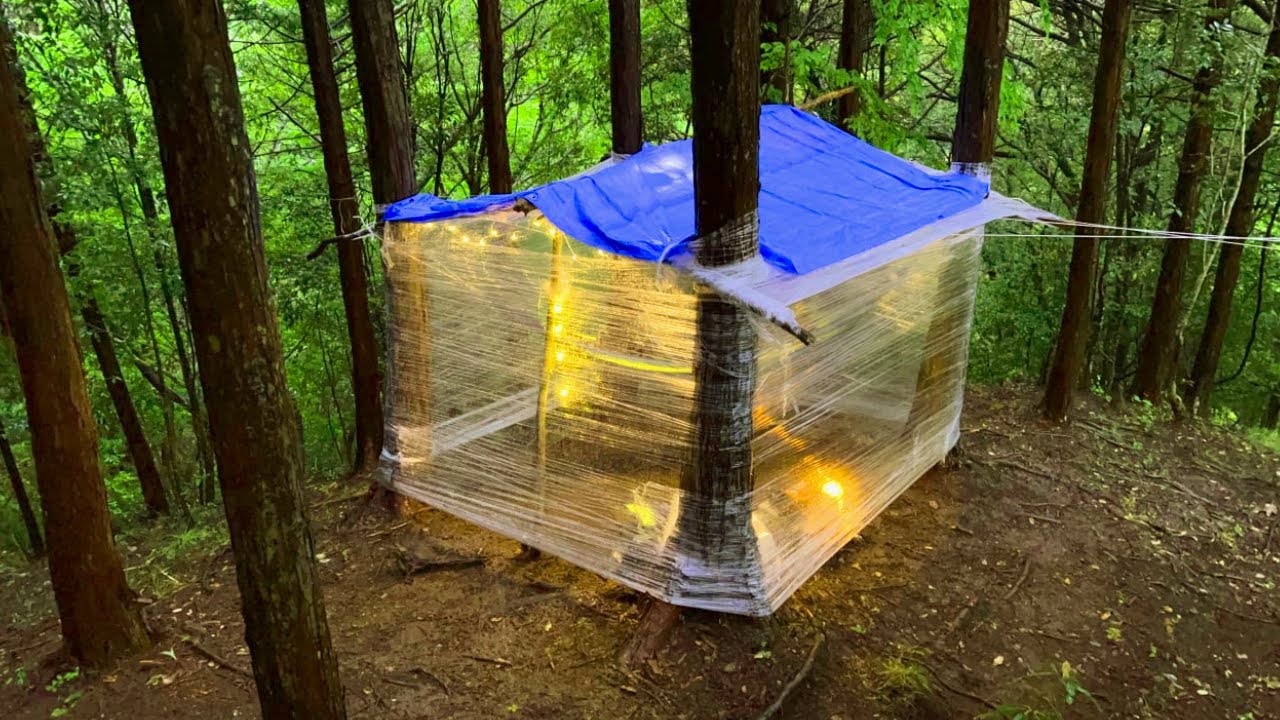 Building a Woodland Cabin with Plastic Wrap Day 2 | Bushcraft Shelter ...