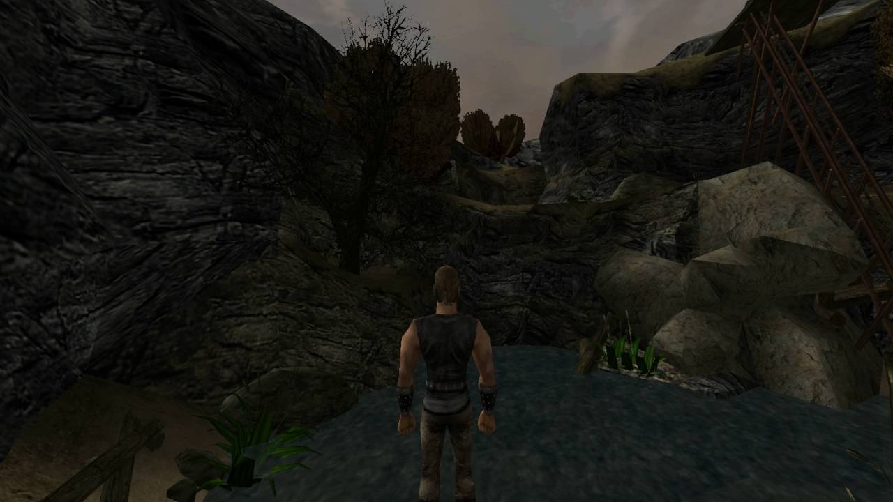 Gothic игра 1. Gothic 1 screenshot. готика 1 ремастер. готика 2 игра. готика вылетает.