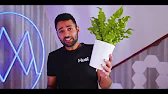 Sky Planter