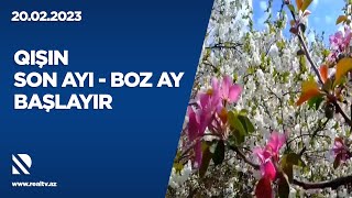 Qışın son ayı - boz ay başlayır