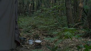 Nice, long, slow mornings. Woodland Wild Camping | Cooking | House Tour & Wandering