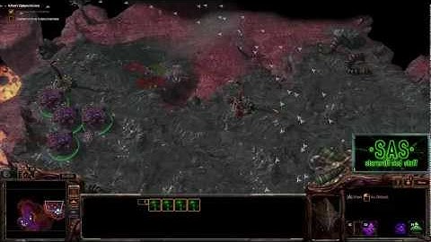 Swarm Host Evolution - Heart of the Swarm