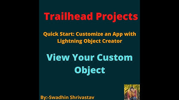 View Your Custom Object (Quick Start: Customize an App with Lightning Object Creator)