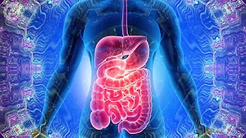 Get Rid Of Heartburn Acid Reflux And Gerd | Overcome Acidity In Stomach | Heal Pain | 528 Hz