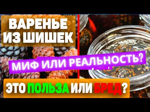 Настойка и Варенье из сосновых шишек, польза или бред? Удивительное независимое расследование!