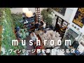 【新潟】すべてが超一級品!名店mushroomの古着でスタイリング