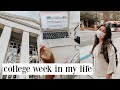 college week in my life *senior edition @ uga* job interviews, studying, grocery shopping + more