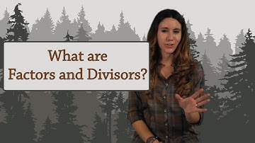 Arithmetic: What is a Divisor (or a Factor)?