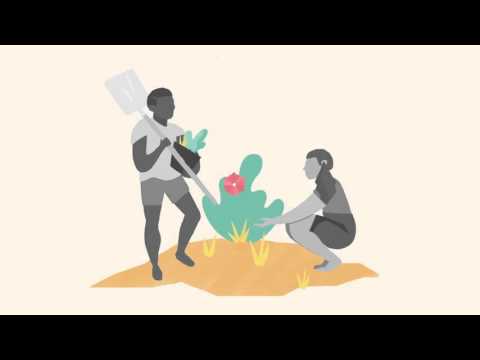 Global Citizenship Education