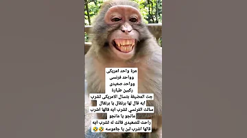 نكت بايخة هههههه 
