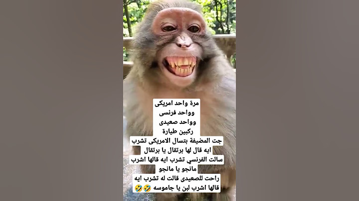 نكت بايخة هههههه
