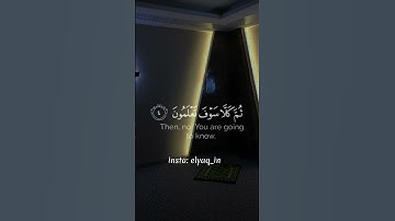 سورة التكاثر(ماهر المعيقلي ){أَلۡهَىٰكُمُ ٱلتَّكَاثُرُ (1) حَتَّىٰ زُرۡتُمُ ٱلۡمَقَابِرَ ......}