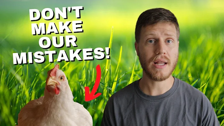 5 Things We Learned Raising MEAT CHICKENS - Learn ...