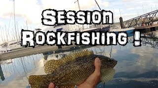 Session rockfishing en Bretagne #1 : Bar, vieille et grondin au leurre