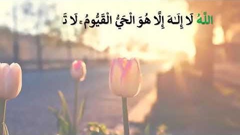 اذكار الصباح كاملة بصوت هادئ  #اذكار_الصباح #اذكار_المساء #الرزق #تحصين_المنزل_و_النفس #هاشتاق