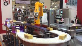 Vision based Conveyor Tracking with Staubli TX90L 6 Axis Articulated Robot (Demo Cell - Trade Show)
