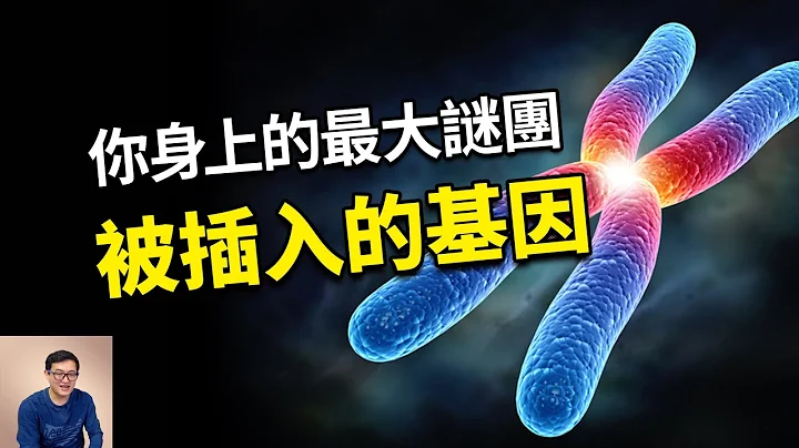 人类比黑猩猩少一对染色体，会推翻进化论吗？被插入的基因到底是什么？详解2号染色体之谜【老肉杂谈】 - 天天要闻