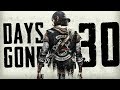 SKRADANKO | Days Gone [#30]