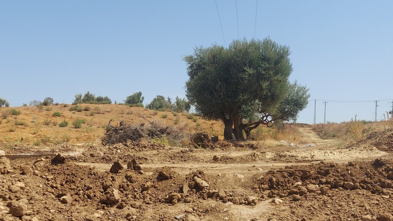 📸 Tizi Gheniff 2024 : des paysages à couper le souffle et une ambiance unique.