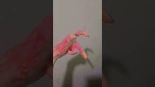 #viralvideo #foryou #song #love #sabil #hand #dance ##