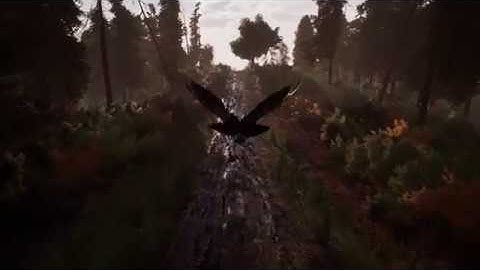 Jaws of Extinction: Harpy Eagle Update