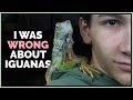 I Was Wrong About Iguanas! My New Green Iguana Experiences