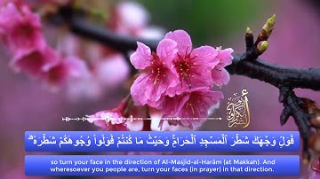 تلاوة نقية وهادئة بصوت ابو بكر الشبراوي|سورة البقرة|من 142-146