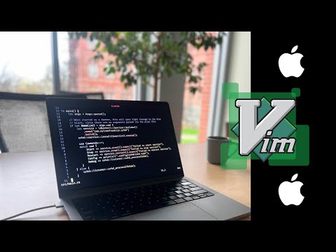 Why I'm on macOS as a hardcore vim user.