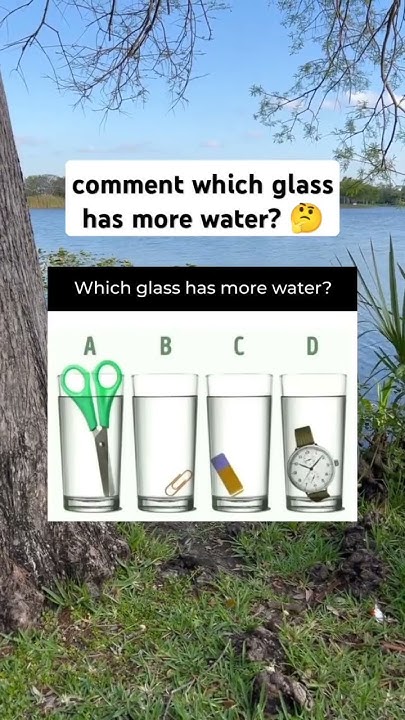 which-glass-has-more-water-meme-fyp-viral-viral-shorts-youtube