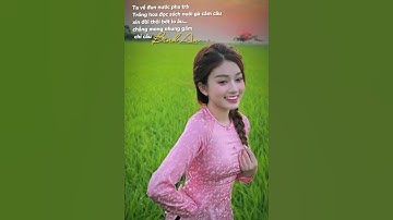 Ta về đun nước pha trà...#minhthuanofficial #loiphatday #youtubeshorts #tamtrang