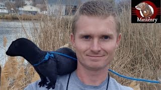 Black Mamba Fishing Expert! | Episode 13- Black Mamba: Born to Hunt Black Mamba Fishing Expert! | Episode 13- Black Mamba: Born to Hunt