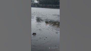 اسلام عليكم ورحمة الله وبركاته ماشاءالله تبارك الرحمن صوت جميل #تلاوة#القرآن#short#viral#